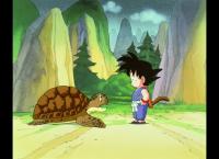Dragonball