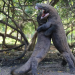 Fight Club der Tiere - Erfolgsstrategien