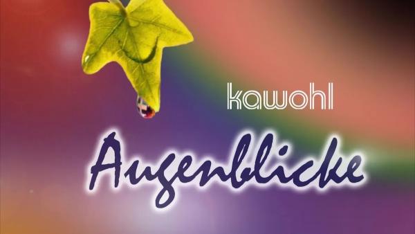 Bild 1 von 8: .