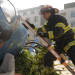 Seattle Firefighters - Die jungen Helden