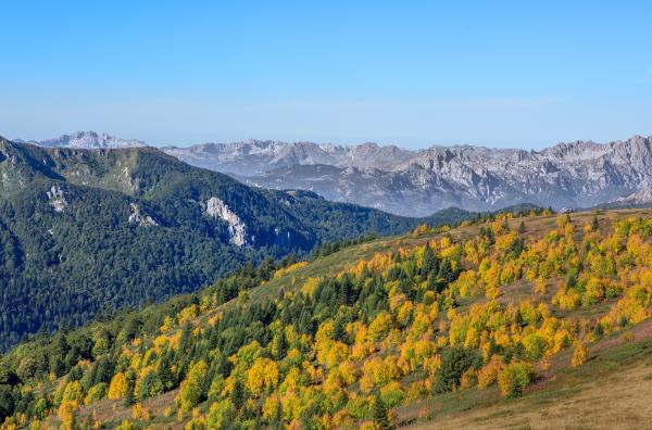 Bild 1 von 5: Montenegro - das Land der schwarzen Berge und der dunklen Wälder: In seiner zerklüfteten Gebirgslandschaft finden sich fünf Canyons sowie die tiefste Schlucht Europas.