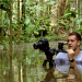Peru, in den Wäldern des Amazonas
