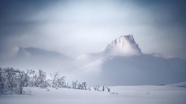 Bild 1 von 1: Im Griff der Kälte - schwedische Winterlandschaft.