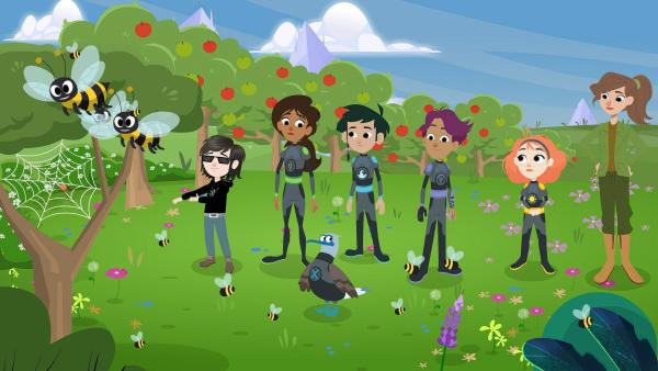 Bild 1 von 16: Galapagos X