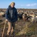 Sylt - Wellen, Wind und Watt
