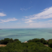 Der Plattensee - Ungarns Wasserwildnis