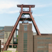Die Steinkohle