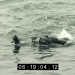 Die Marine-Taucher - Profis unter Wasser