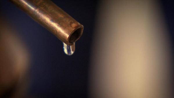 Bild 1 von 5: Der Duft von Wien