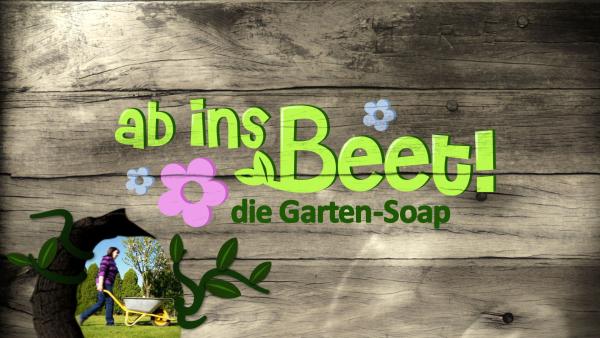 Bild 1 von 5: 