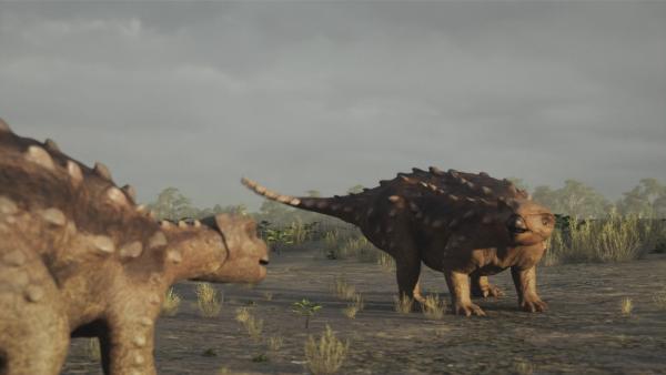 Bild 1 von 5: Vermutlich hat der 2018 in Chile entdeckte Stegouros seine Schwanzwaffe nicht nur gegen Fressfeinde, sondern auch gegen Artgenossen eingesetzt.