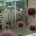 Odd Squad - Junge Agenten retten die Welt