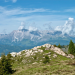 Heimat Österreich
