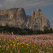 Wildes Italien