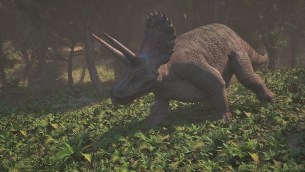 Bild 1 von 5: Ein gewaltiger Nackenschild und lange, spitze Hörner: Der Triceratops gehört zu den bekanntesten Sauriern und gibt noch immer Rätsel auf.