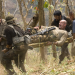 John Rambo