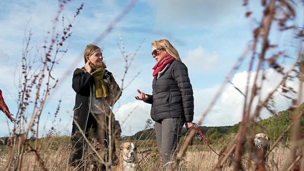 Bild 1 von 5: Im Bild: \