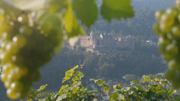 Bild 1 von 18: Wilde Schlösser