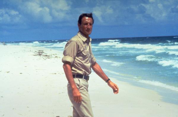 Bild 1 von 8: Nach wiederholten Zwischenfällen an der Küste Amitys schlägt Polizeichef Martin Brody (Roy Scheider) vor, den Strand zu sperren. Die Stadtverwaltung hingegen, möchte die bevorstehende Badesaison nicht gefährden ...