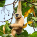 Wunderbares Thailand - Naturjuwel im Südosten Asiens