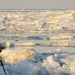 Wildes Russland