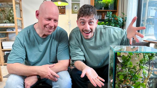 Bild 1 von 3: Von links: Manfred zeigt Jason, wie man Gespenstschrecken ein ideales Zuhause einrichtet: Mit Brombeerblättern, in denen sie sich tarnen können. (Manfred Wozniak)