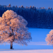Winterwelten