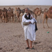 Männer der Wüste - Mit Kamelhirten durch die Sahara