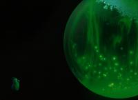 Beutolomäus und der wahre Weihnachtsmann