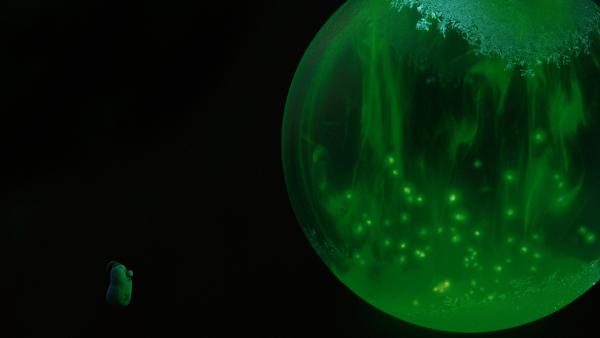 Bild 1 von 4: Beutolomäus entdeckt, dass das Herz der Weihnacht vergiftet ist.