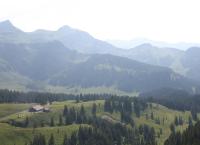 Hermann Maier: Meine Heimat