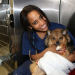 Pets & Docs - Ein Team für Tiere