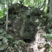 Verlorene Schätze der Maya