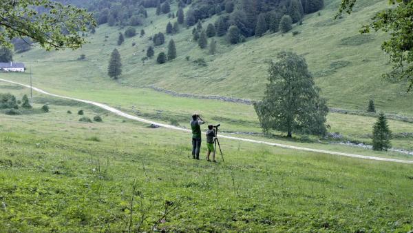 Bild 1 von 14: Im Bild: Förster Bernhard Sulzbacher.