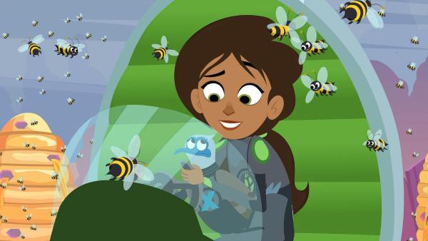 Bild 1 von 16: Galapagos X