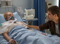 Heartland - Paradies für Pferde