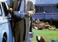 Columbo: Der Tote in der Heizdecke