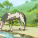 Lenas Ranch