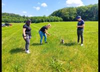 Der Hundeprofi - Rütters Team
