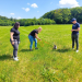 Der Hundeprofi - Rütters Team