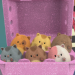 Gabby's Dollhouse