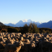 Abenteuer Neuseeland