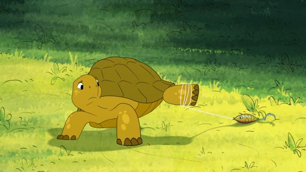 Bild 1 von 3: Schildkröte Törtel hat sich in einer Angelschnur verfangen, die im Wald zusammen mit jeder Menge anderem Müll abgeladen wurde.© ZDF/ZDF 2024/Caligari - Honorarfreie Verwendung gemäß AGB im redaktionellen Zusammenhang mit genannter Sendung bei Nennung \