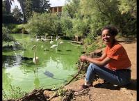 Pia und die wilden Tiere
