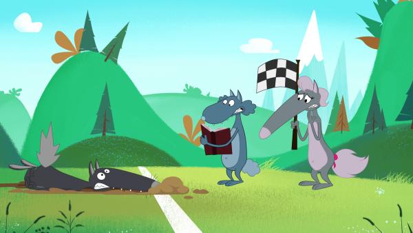 Bild 1 von 5: Wolf scheint sein Ziel, Champion zu werden, nie zu erreichen.