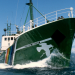 Greenpeace