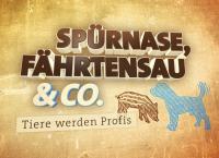 Spürnase, Fährtensau & Co.