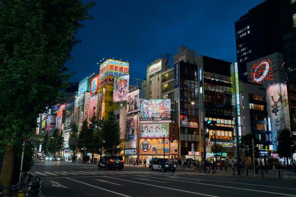 Bild 1 von 14: Das Akihabara-Viertel in Tokio wird auch als \