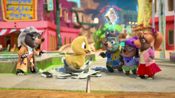 Bild 1 von 3: Ganz Maulwurfhausen ist angetan von dem Küken, das sich sich von der großen Oberwelt ins Reich der Maulwürfe verirrt hat.