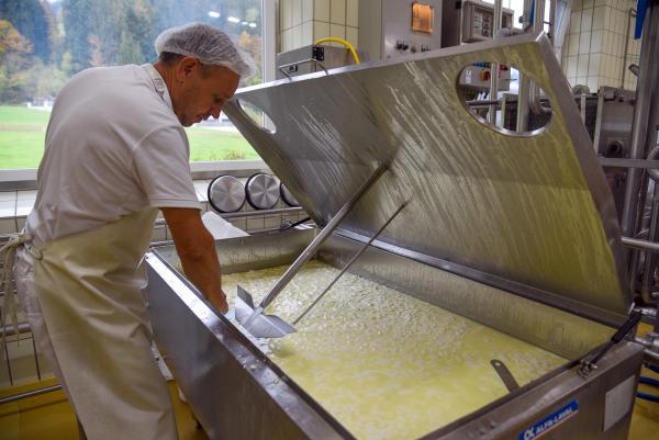 Bild 1 von 5: Franz Hollaus bei der Frischkäseproduktion in der Sennerei Hatzenstedt (Tirol).